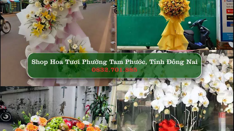 Shop Hoa Tươi Phường Tam Phước - Tỉnh Đồng Nai