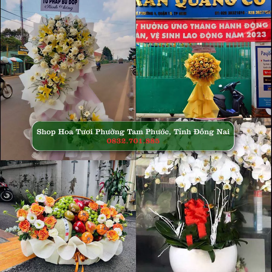 Shop Hoa Tươi Phường Tam Phước - Tỉnh Đồng Nai