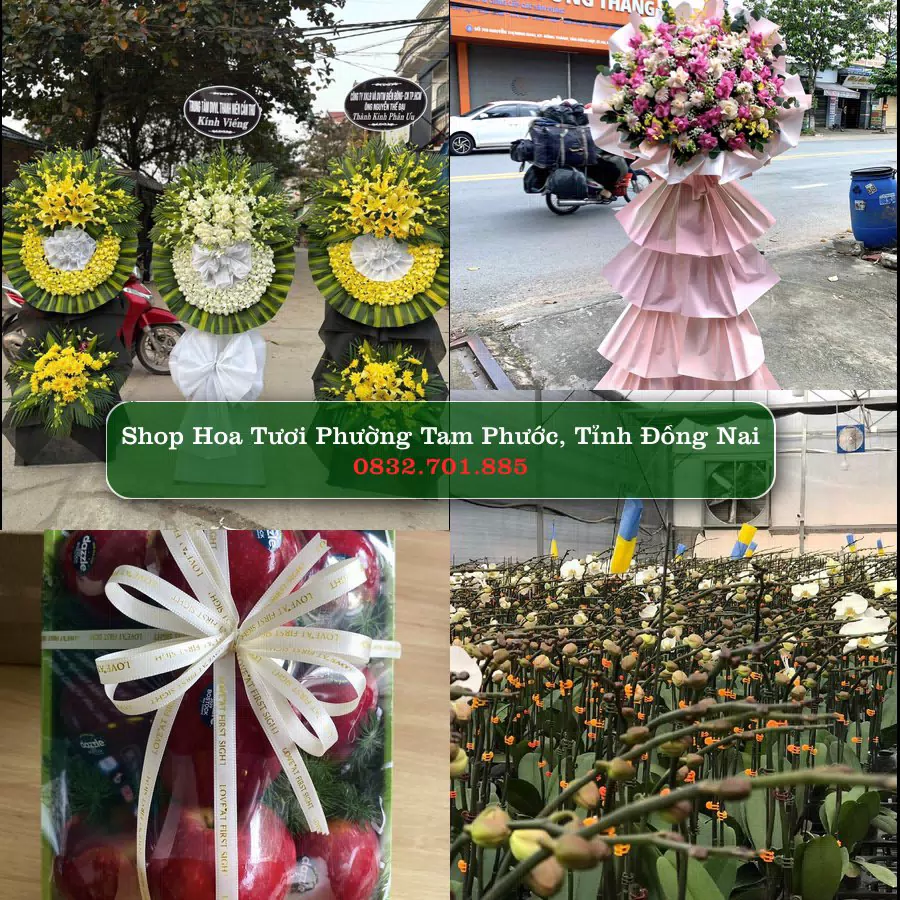 Shop hoa tươi Phường Tam Phước, Tỉnh Đồng Nai - ThuyHoaTuoi.Com giao hoa tận nơi