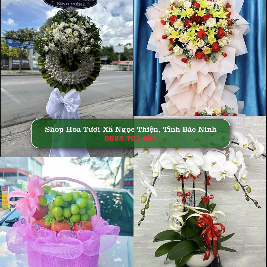 Shop hoa tươi Xã Ngọc Thiện, Tỉnh Bắc Ninh - ThuyHoaTuoi.Com giao hoa tận nơi