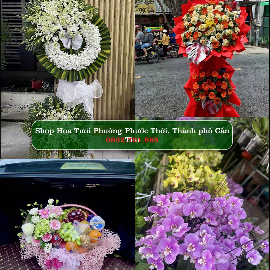 Shop hoa tươi Phường Phước Thới, Thành phố Cần Thơ - ThuyHoaTuoi.Com giao hoa tận nơi
