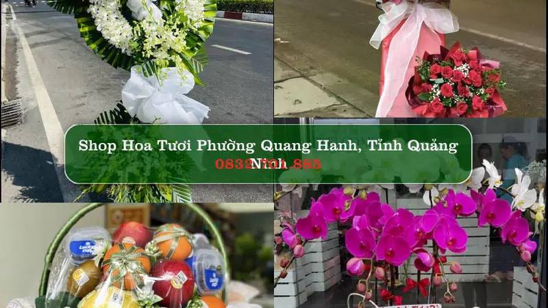 Shop Hoa Tươi Phường Quang Hanh - Tỉnh Quảng Ninh