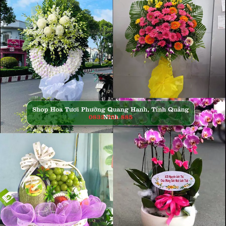 Shop hoa tươi Phường Quang Hanh, Tỉnh Quảng Ninh - ThuyHoaTuoi.Com giao hoa tận nơi