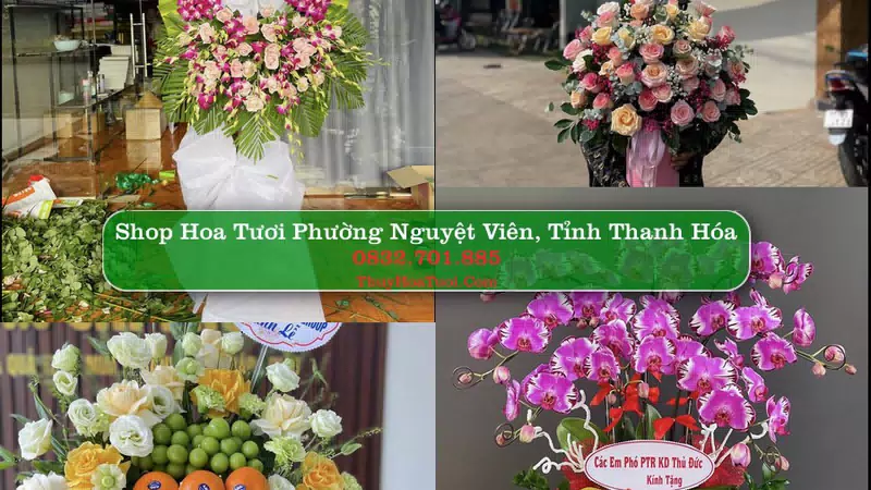Shop Hoa Tươi Phường Nguyệt Viên - Tỉnh Thanh Hóa
