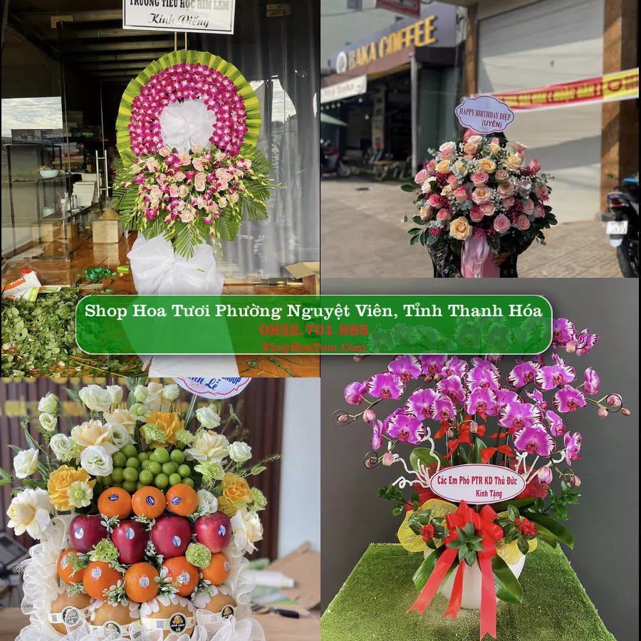 Shop Hoa Tươi Phường Nguyệt Viên - Tỉnh Thanh Hóa