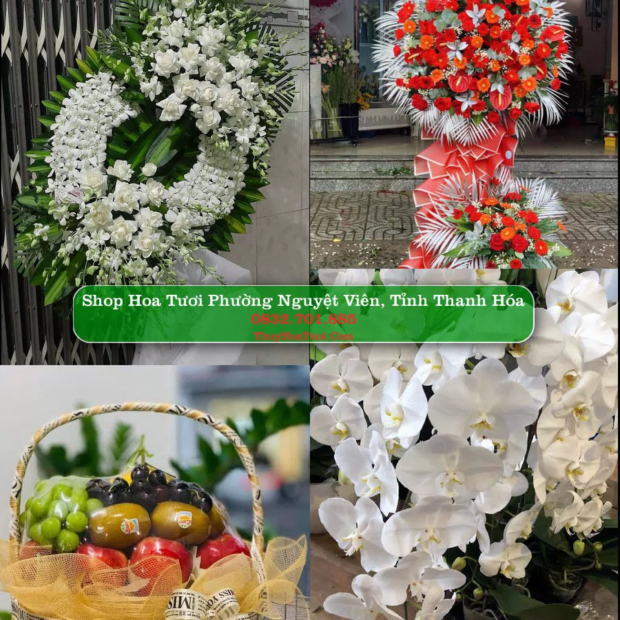 Shop hoa tươi Phường Nguyệt Viên, Tỉnh Thanh Hóa - ThuyHoaTuoi.Com giao hoa tận nơi