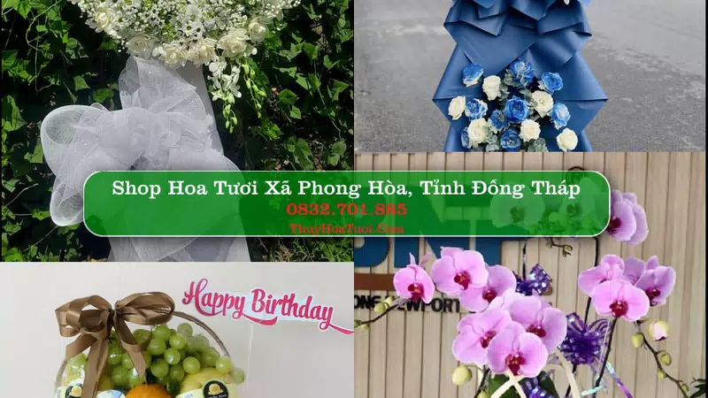 Shop Hoa Tươi Xã Phong Hòa - Tỉnh Đồng Tháp