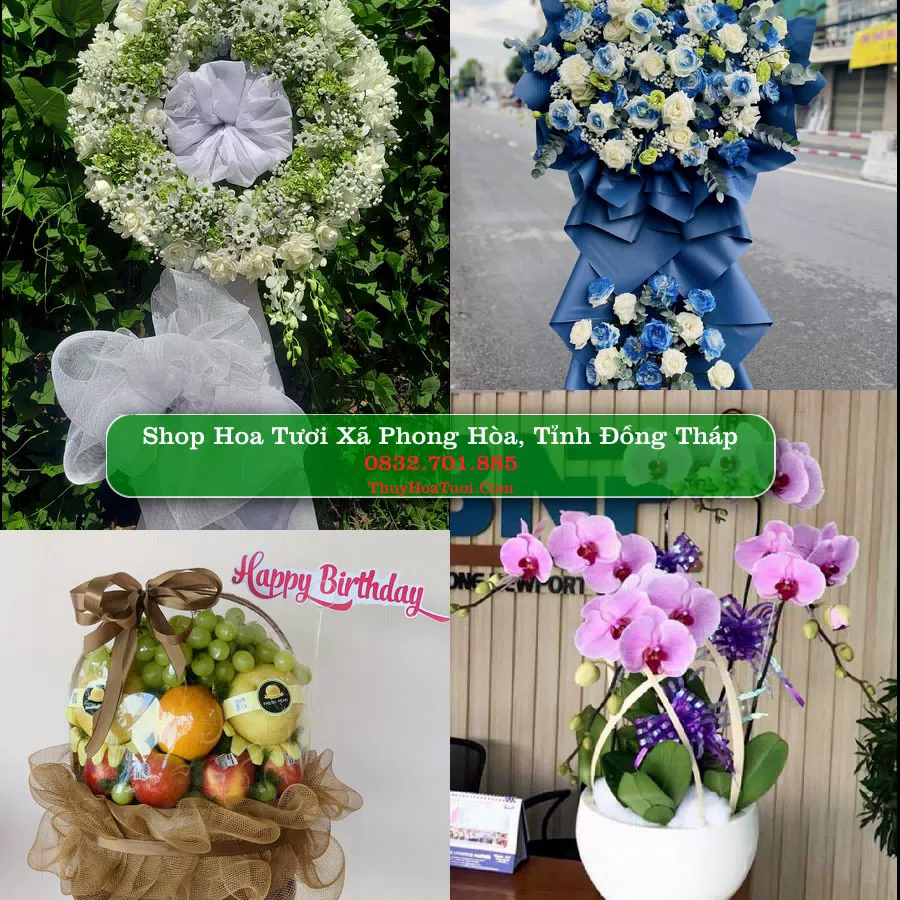 Shop Hoa Tươi Xã Phong Hòa - Tỉnh Đồng Tháp