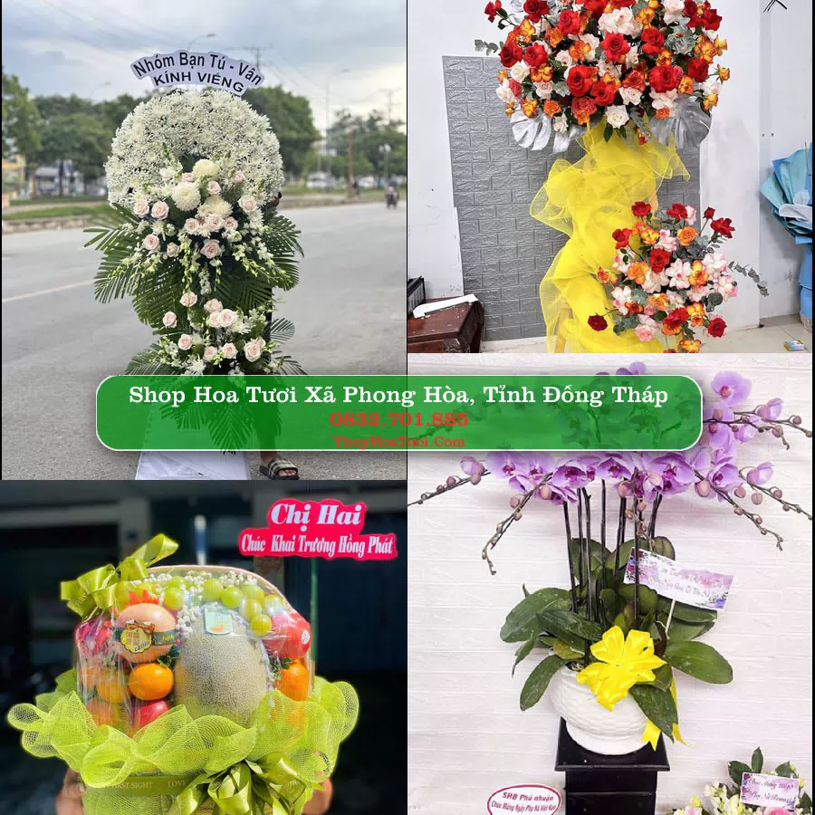 Shop hoa tươi Xã Phong Hòa, Tỉnh Đồng Tháp - ThuyHoaTuoi.Com giao hoa tận nơi