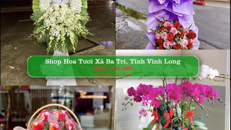 Shop Hoa Tươi Xã Ba Tri - Tỉnh Vĩnh Long