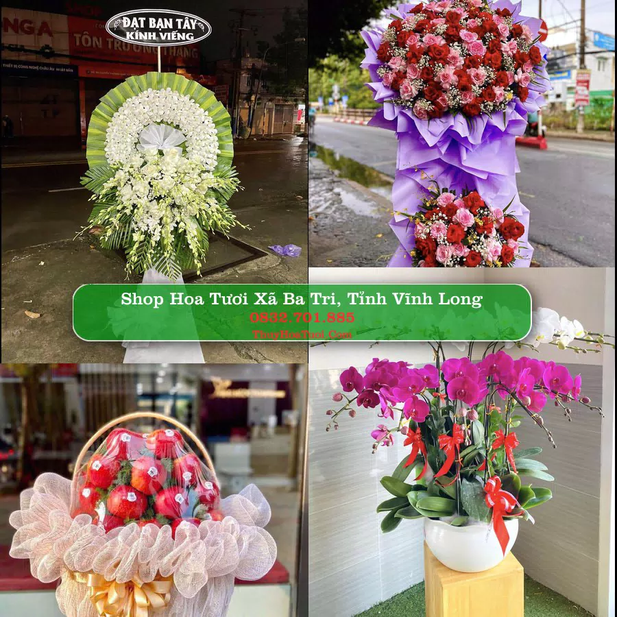 Shop Hoa Tươi Xã Ba Tri - Tỉnh Vĩnh Long