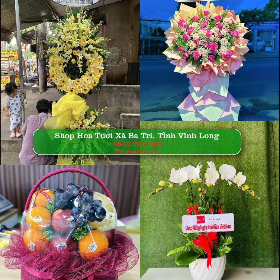 Shop hoa tươi Xã Ba Tri, Tỉnh Vĩnh Long - ThuyHoaTuoi.Com giao hoa tận nơi