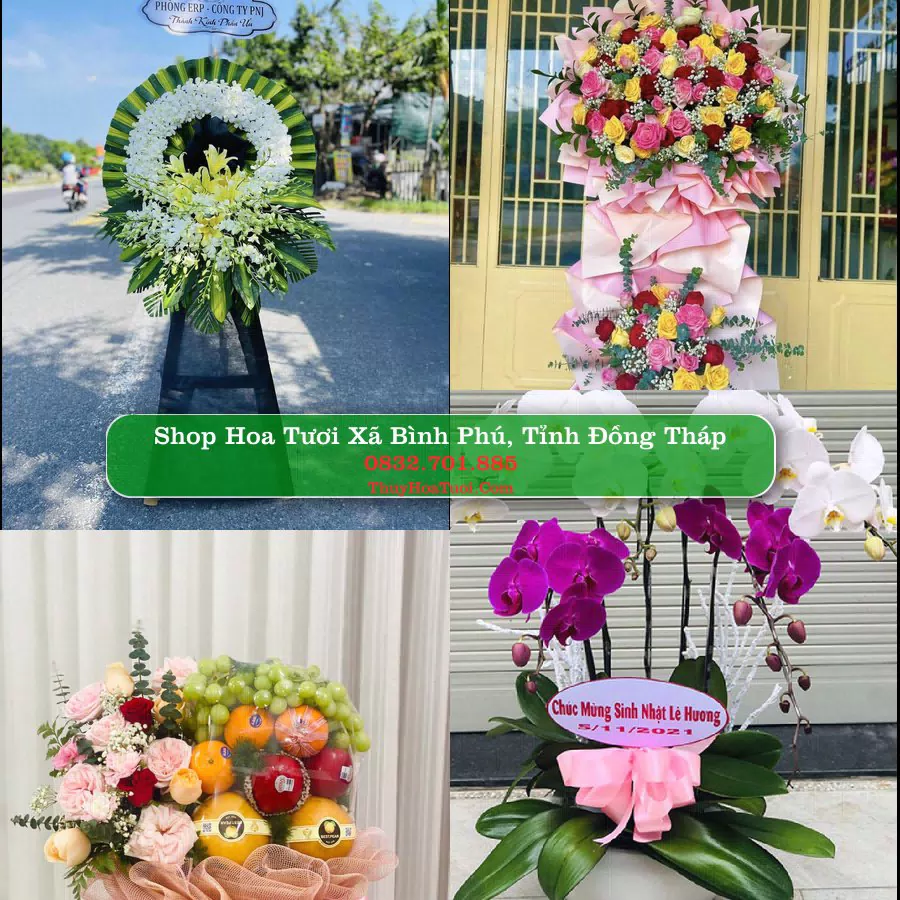 Shop Hoa Tươi Xã Bình Phú - Tỉnh Đồng Tháp