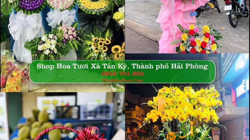 Shop Hoa Tươi Xã Tân Kỳ - Thành phố Hải Phòng