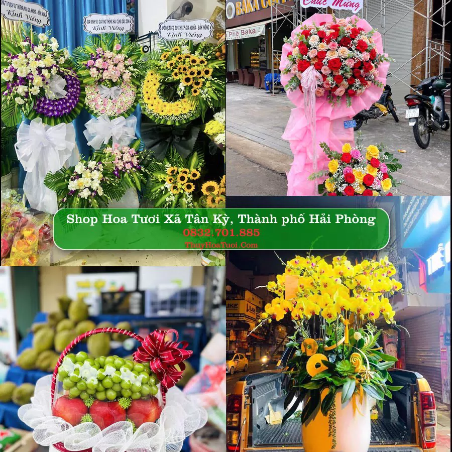 Shop Hoa Tươi Xã Tân Kỳ - Thành phố Hải Phòng