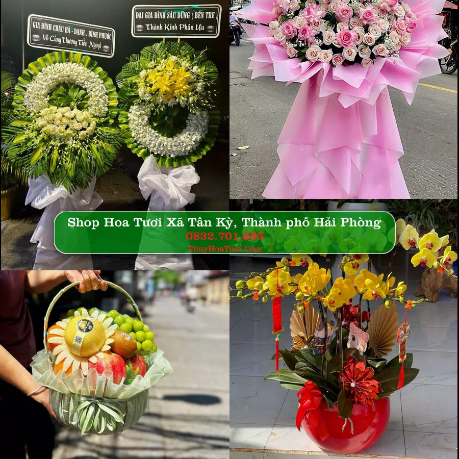 Shop hoa tươi Xã Tân Kỳ, Thành phố Hải Phòng - ThuyHoaTuoi.Com giao hoa tận nơi