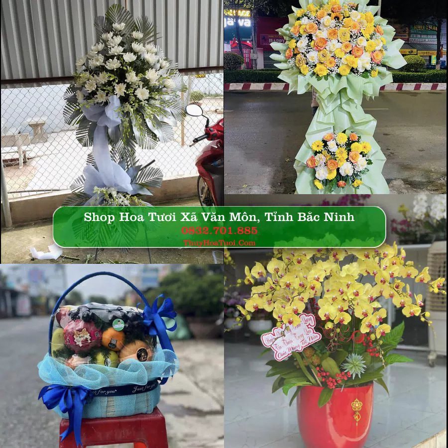 Shop Hoa Tươi Xã Văn Môn - Tỉnh Bắc Ninh