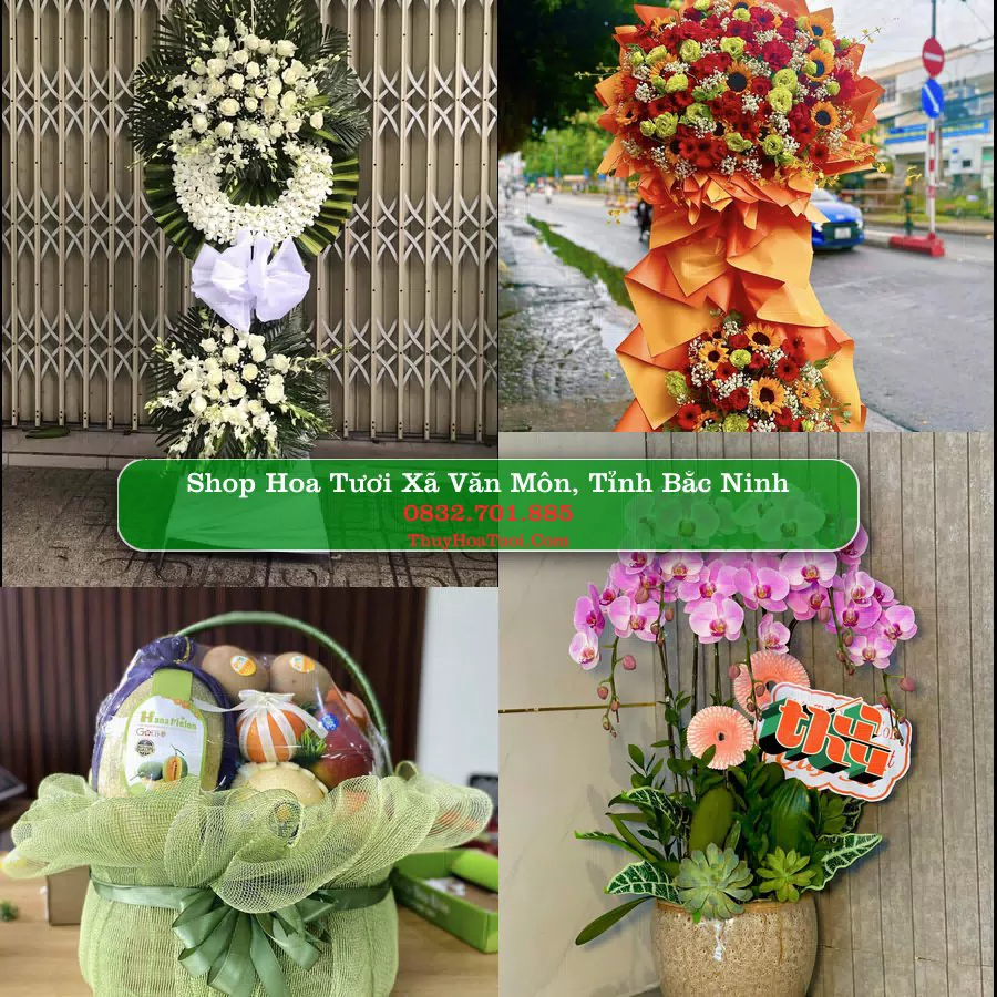 Shop hoa tươi Xã Văn Môn, Tỉnh Bắc Ninh - ThuyHoaTuoi.Com giao hoa tận nơi