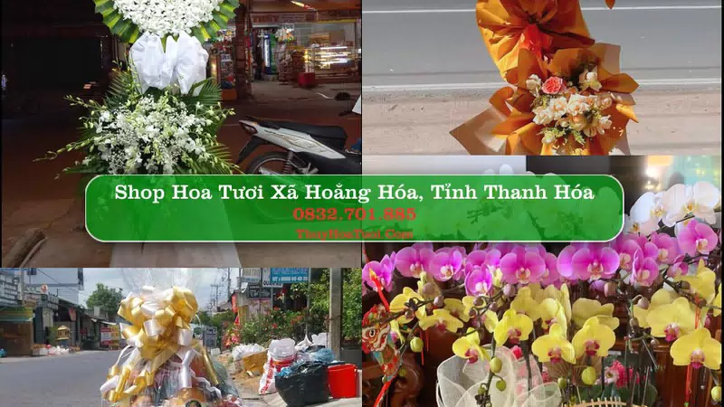Shop Hoa Tươi Xã Hoằng Hóa - Tỉnh Thanh Hóa