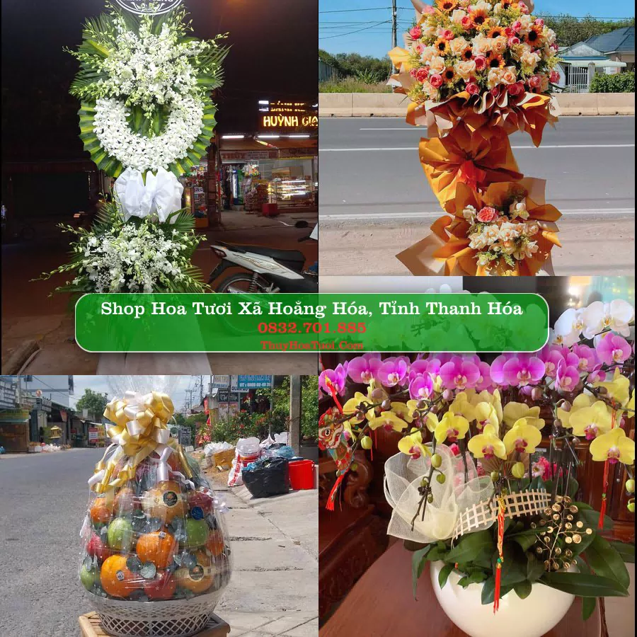 Shop Hoa Tươi Xã Hoằng Hóa - Tỉnh Thanh Hóa