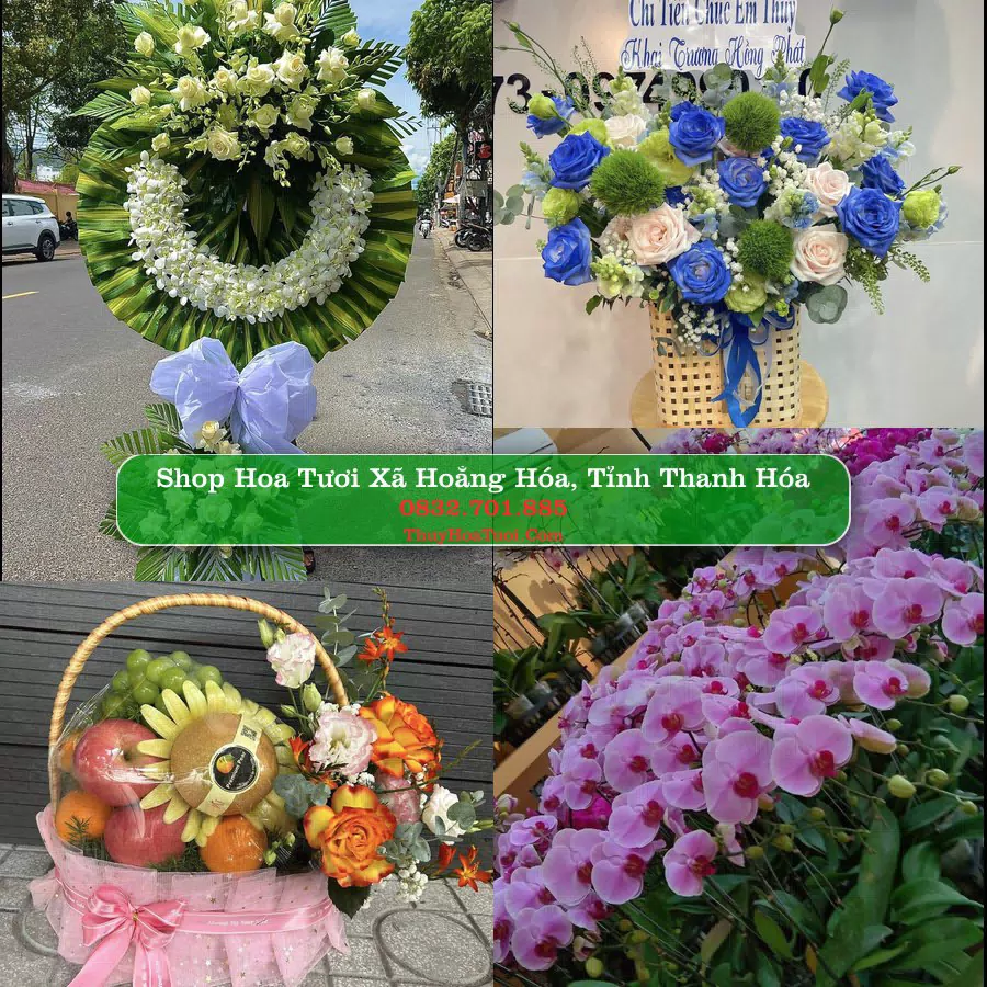Shop hoa tươi Xã Hoằng Hóa, Tỉnh Thanh Hóa - ThuyHoaTuoi.Com giao hoa tận nơi
