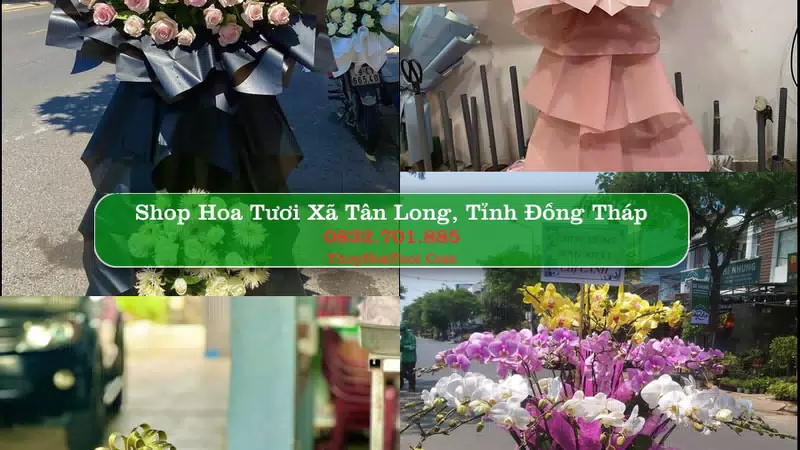 Shop Hoa Tươi Xã Tân Long - Tỉnh Đồng Tháp