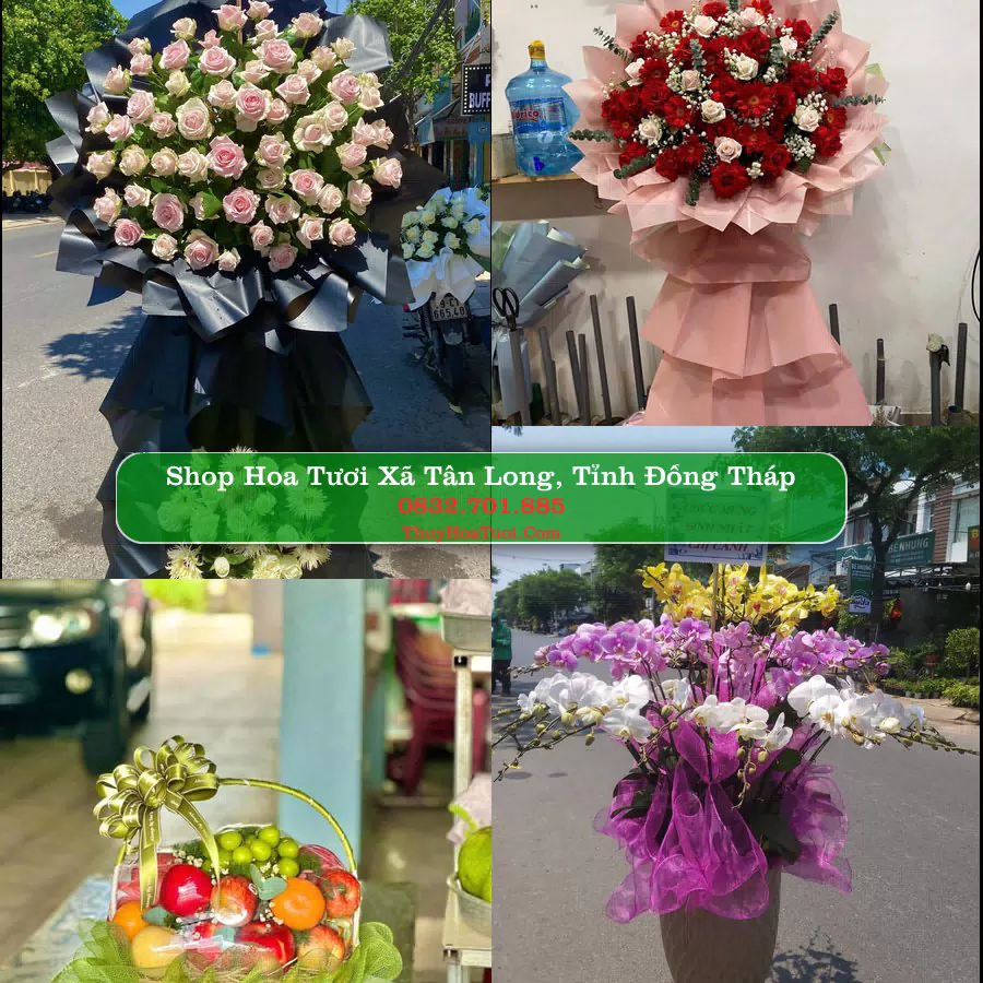 Shop Hoa Tươi Xã Tân Long - Tỉnh Đồng Tháp