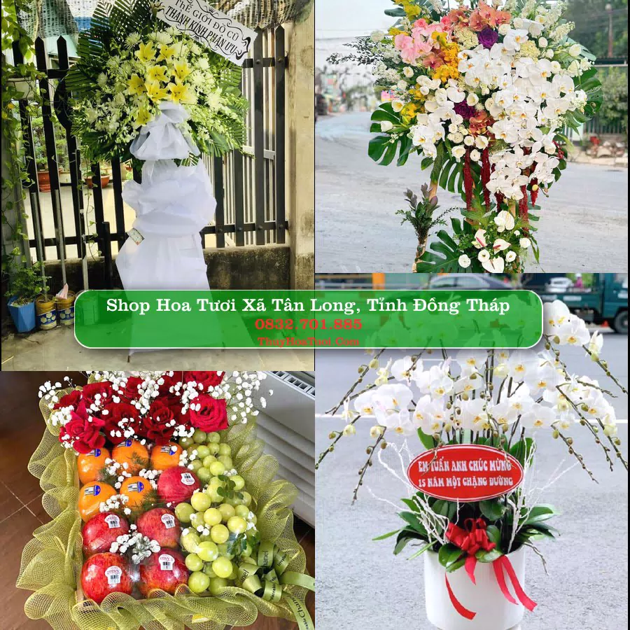 Shop hoa tươi Xã Tân Long, Tỉnh Đồng Tháp - ThuyHoaTuoi.Com giao hoa tận nơi