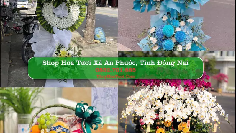 Shop Hoa Tươi Xã An Phước - Tỉnh Đồng Nai