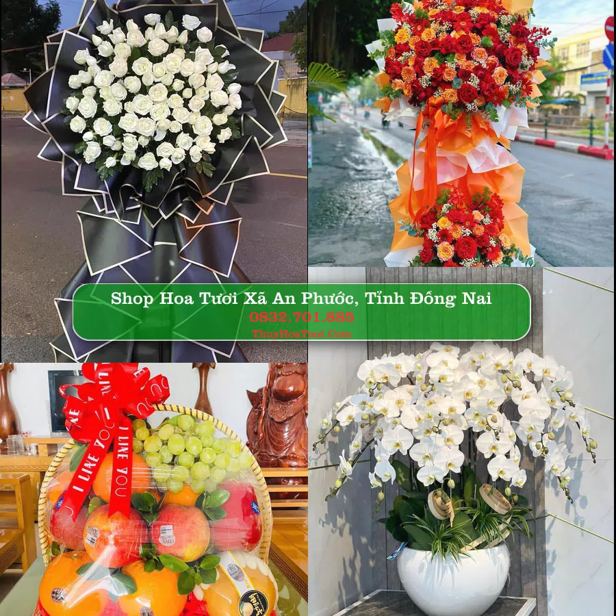 Shop hoa tươi Xã An Phước, Tỉnh Đồng Nai - ThuyHoaTuoi.Com giao hoa tận nơi