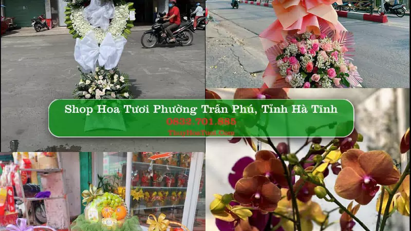 Shop Hoa Tươi Phường Trần Phú - Tỉnh Hà Tĩnh