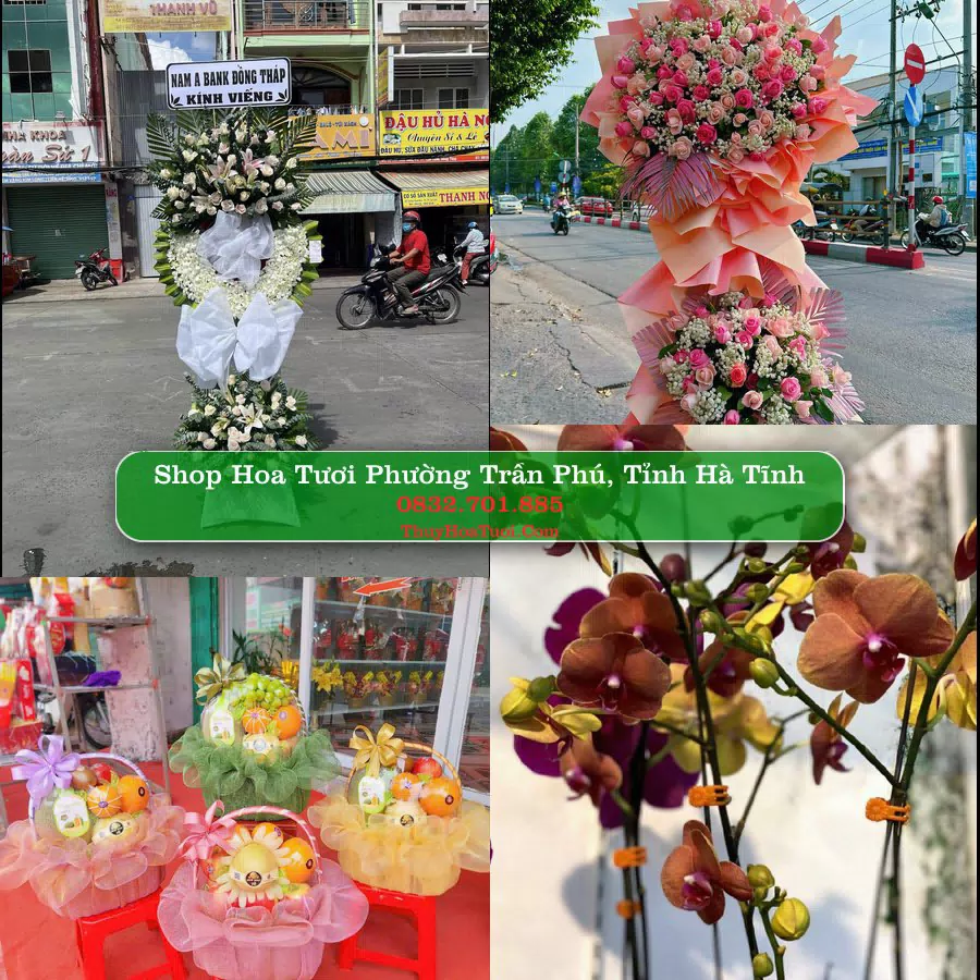 Shop Hoa Tươi Phường Trần Phú - Tỉnh Hà Tĩnh