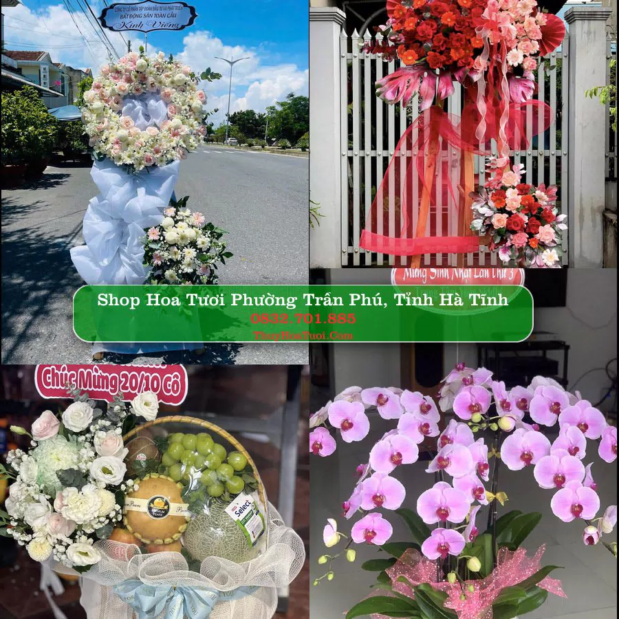 Shop hoa tươi Phường Trần Phú, Tỉnh Hà Tĩnh - ThuyHoaTuoi.Com giao hoa tận nơi
