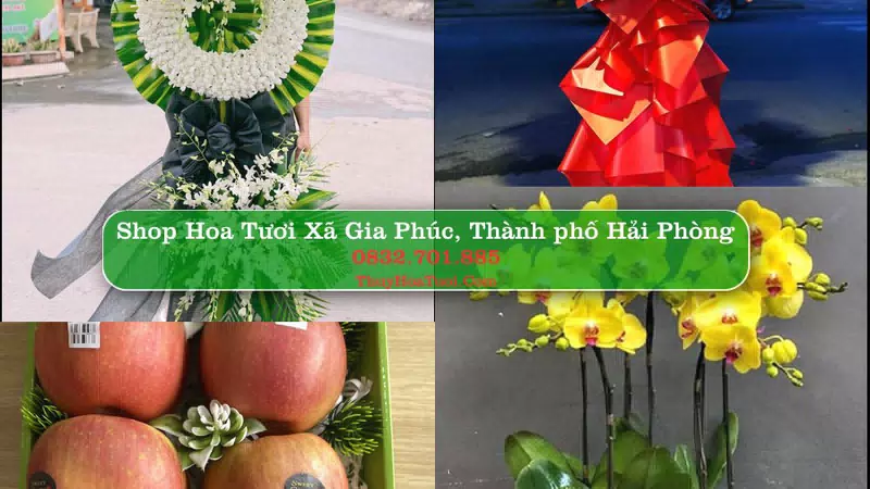 Shop Hoa Tươi Xã Gia Phúc - Thành phố Hải Phòng