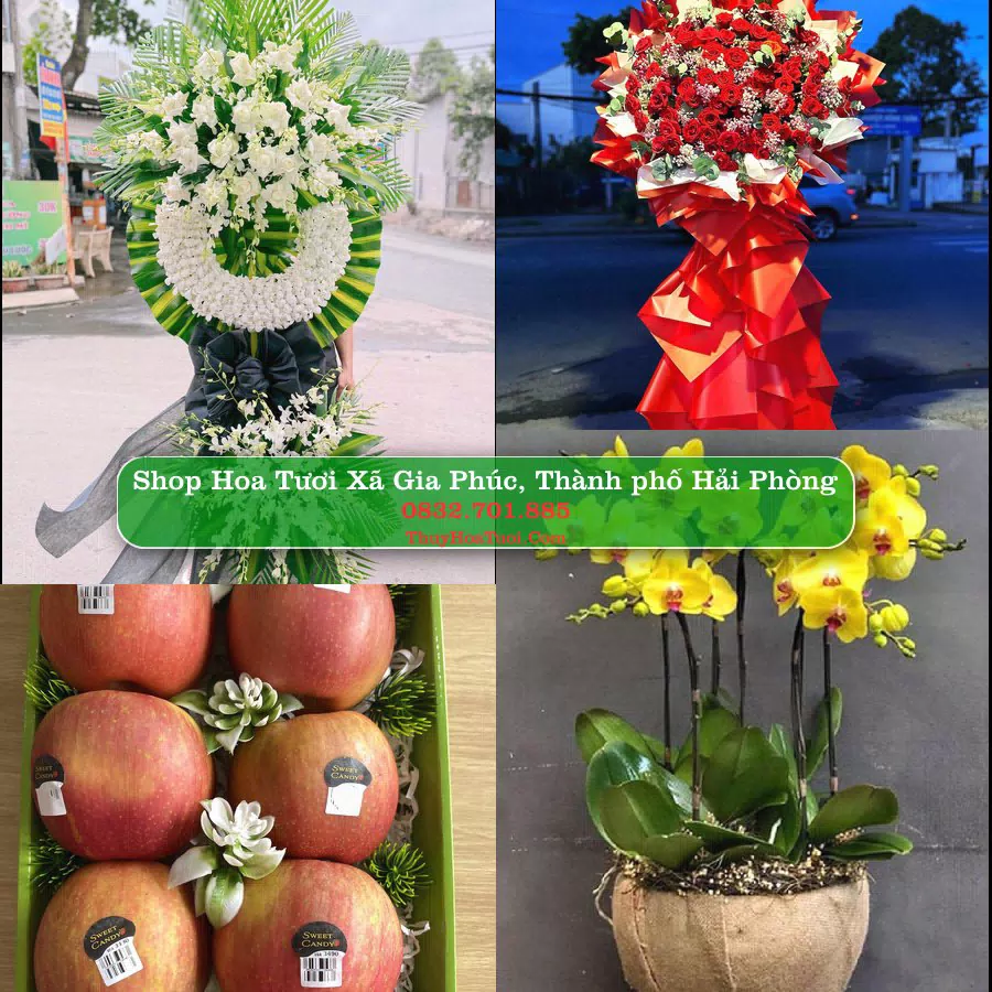 Shop Hoa Tươi Xã Gia Phúc - Thành phố Hải Phòng