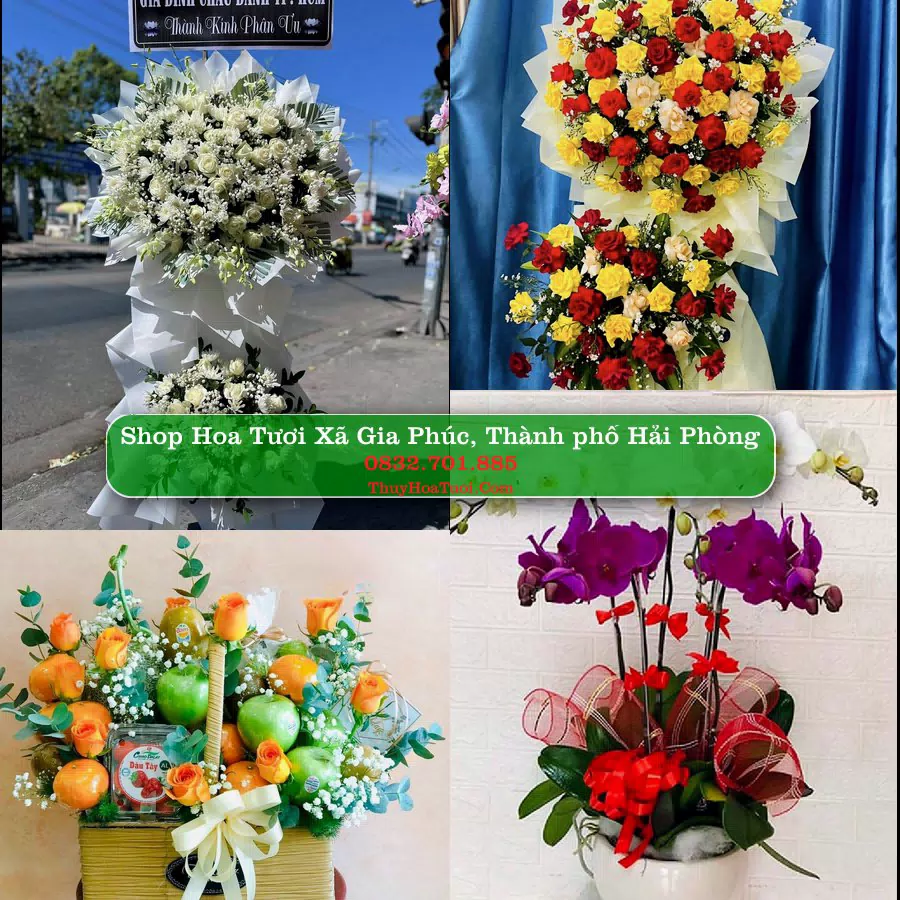Shop hoa tươi Xã Gia Phúc, Thành phố Hải Phòng - ThuyHoaTuoi.Com giao hoa tận nơi