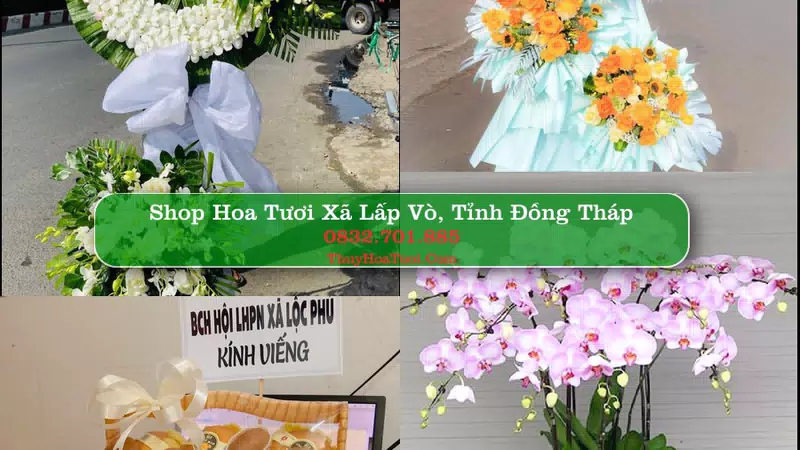 Shop Hoa Tươi Xã Lấp Vò - Tỉnh Đồng Tháp
