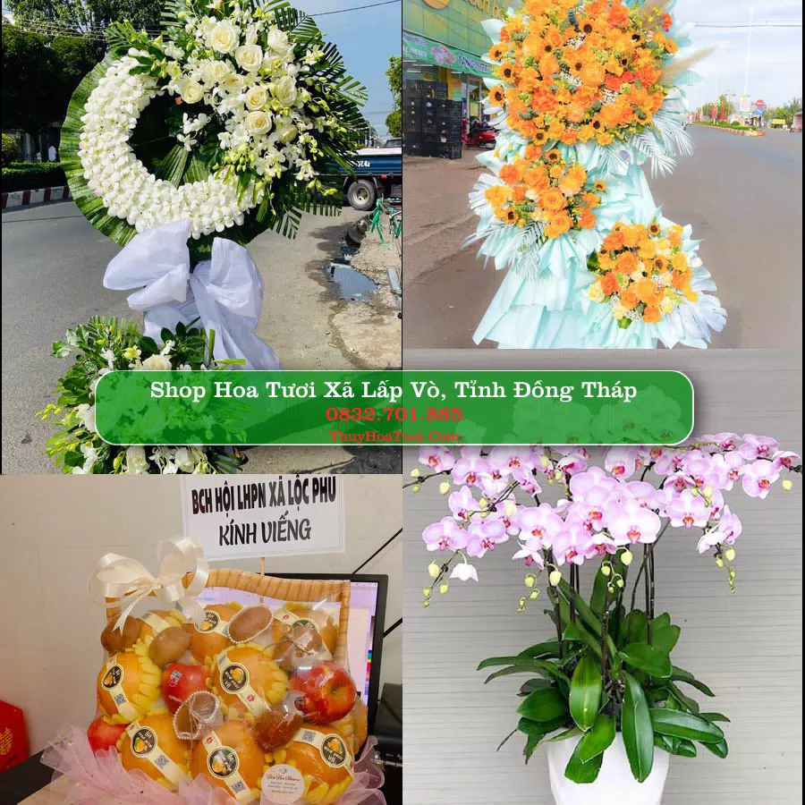Shop Hoa Tươi Xã Lấp Vò - Tỉnh Đồng Tháp