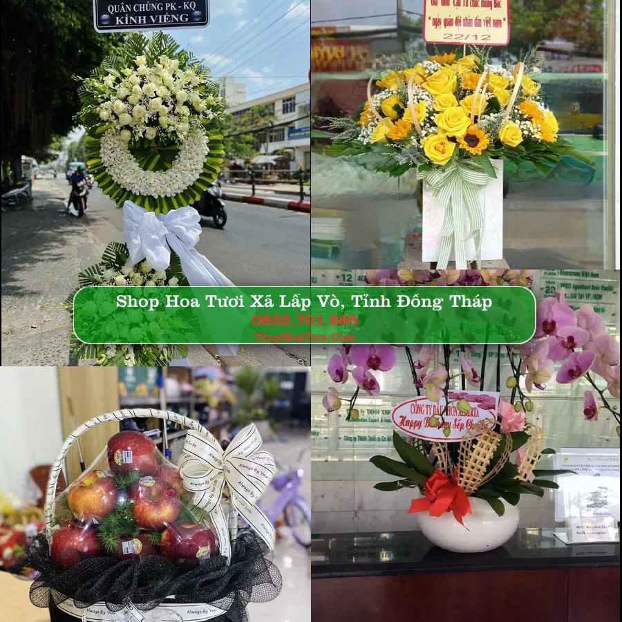Shop hoa tươi Xã Lấp Vò, Tỉnh Đồng Tháp - ThuyHoaTuoi.Com giao hoa tận nơi
