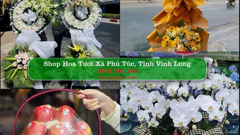 Shop Hoa Tươi Xã Phú Túc - Tỉnh Vĩnh Long