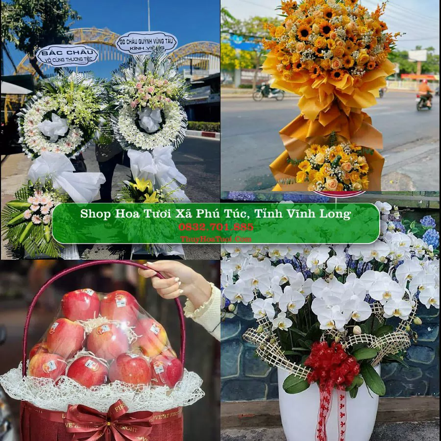 Shop Hoa Tươi Xã Phú Túc - Tỉnh Vĩnh Long