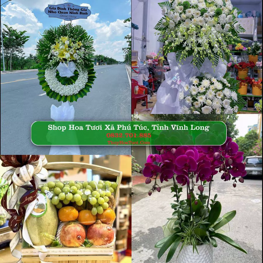 Shop hoa tươi Xã Phú Túc, Tỉnh Vĩnh Long - ThuyHoaTuoi.Com giao hoa tận nơi