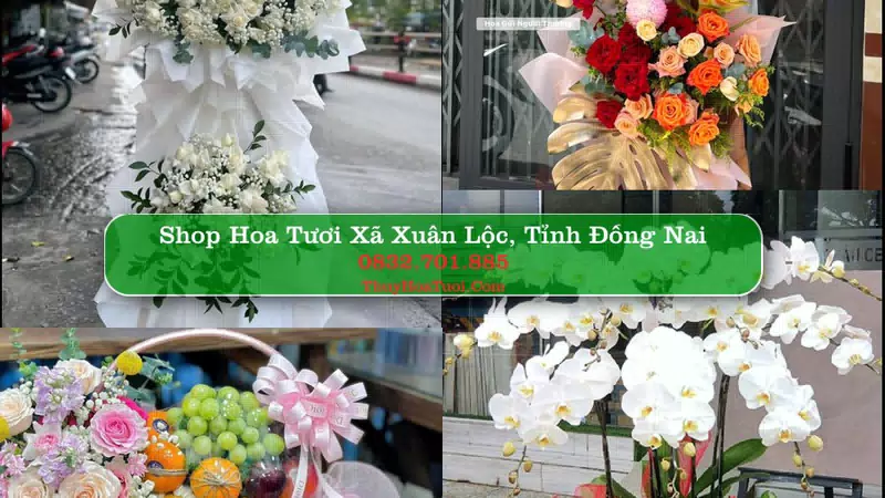 Shop Hoa Tươi Xã Xuân Lộc - Tỉnh Đồng Nai
