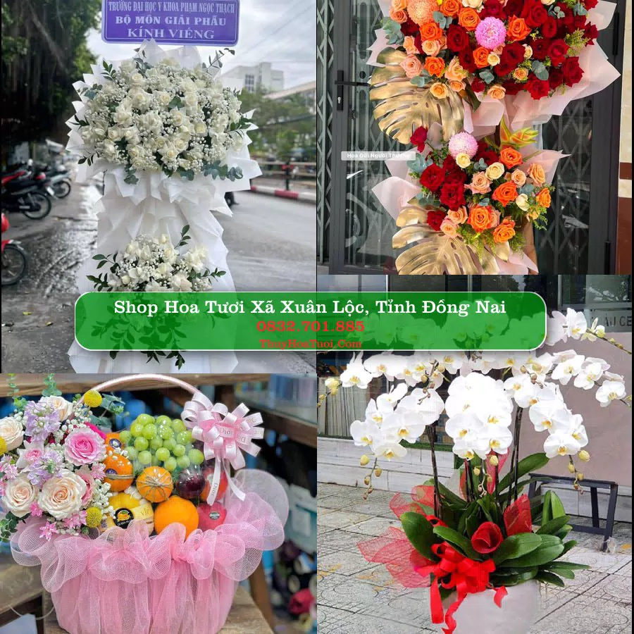 Shop Hoa Tươi Xã Xuân Lộc - Tỉnh Đồng Nai