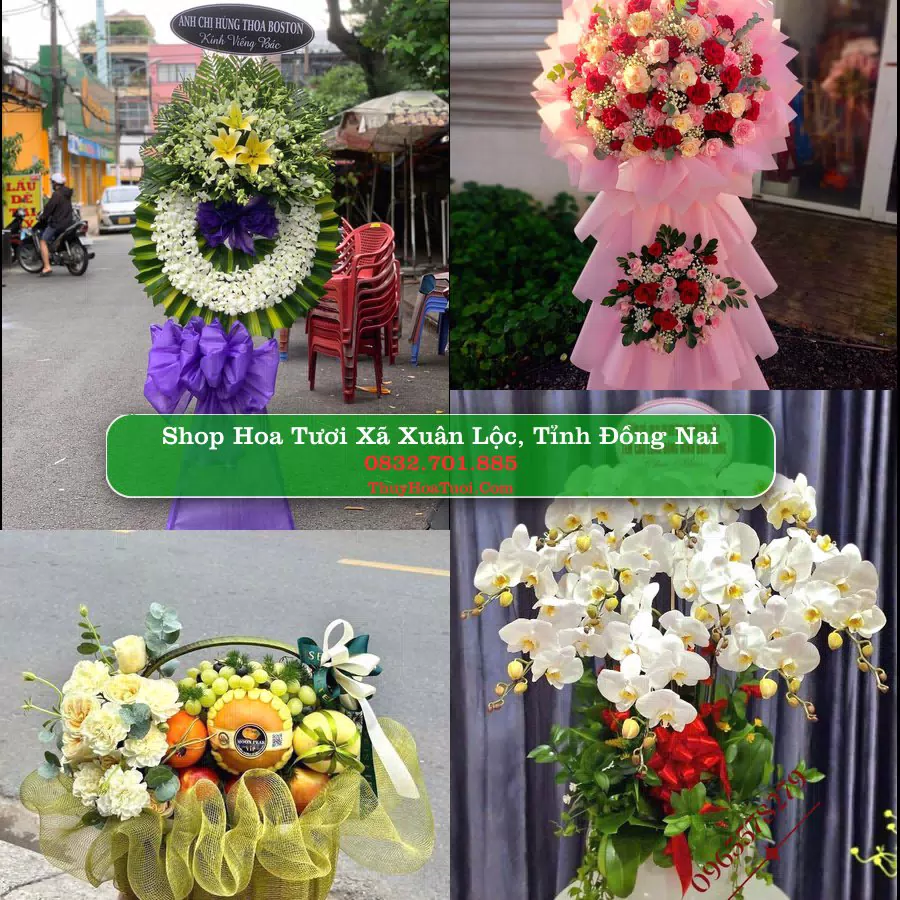 Shop hoa tươi Xã Xuân Lộc, Tỉnh Đồng Nai - ThuyHoaTuoi.Com giao hoa tận nơi