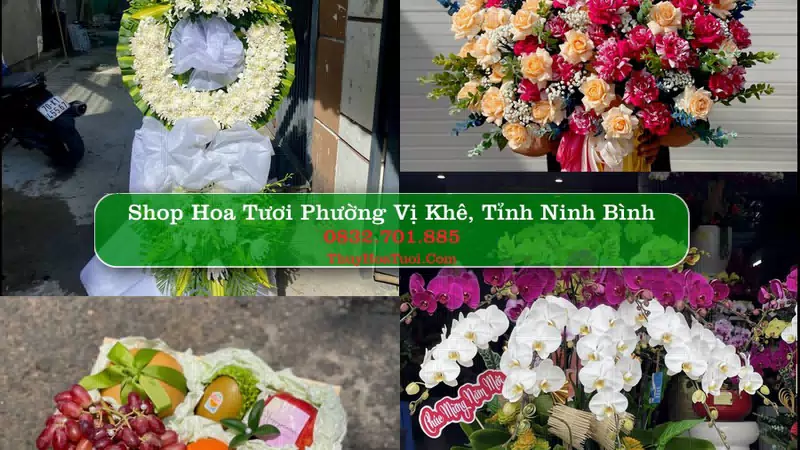 Shop Hoa Tươi Phường Vị Khê - Tỉnh Ninh Bình