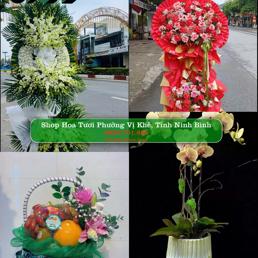 Shop hoa tươi Phường Vị Khê, Tỉnh Ninh Bình - ThuyHoaTuoi.Com giao hoa tận nơi