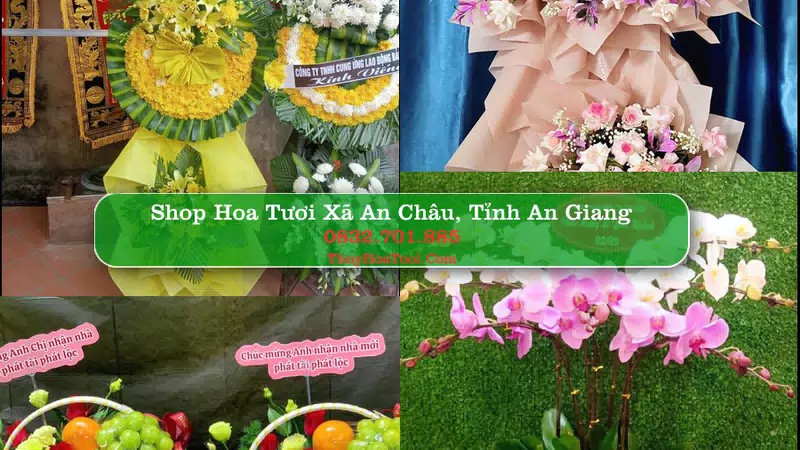 Shop Hoa Tươi Xã An Châu - Tỉnh An Giang