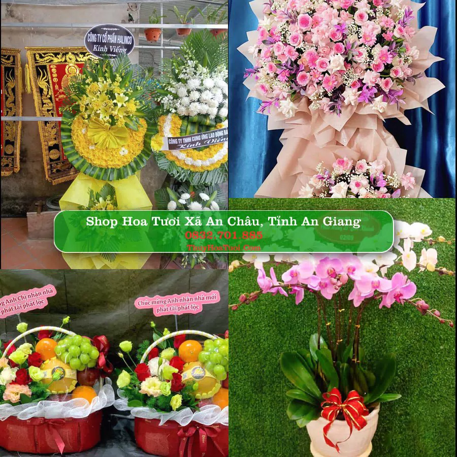 Shop Hoa Tươi Xã An Châu - Tỉnh An Giang