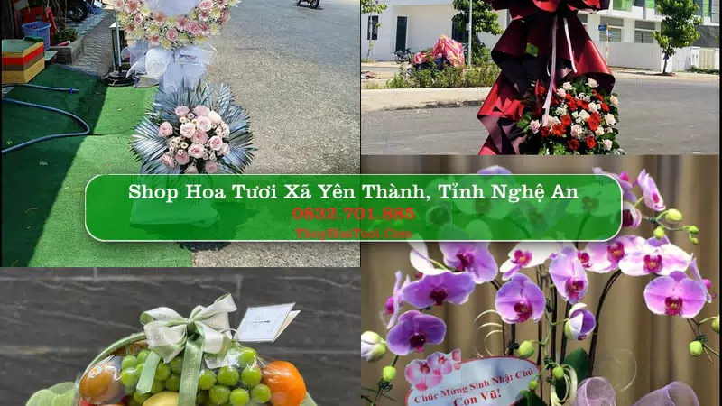 Shop Hoa Tươi Xã Yên Thành - Tỉnh Nghệ An